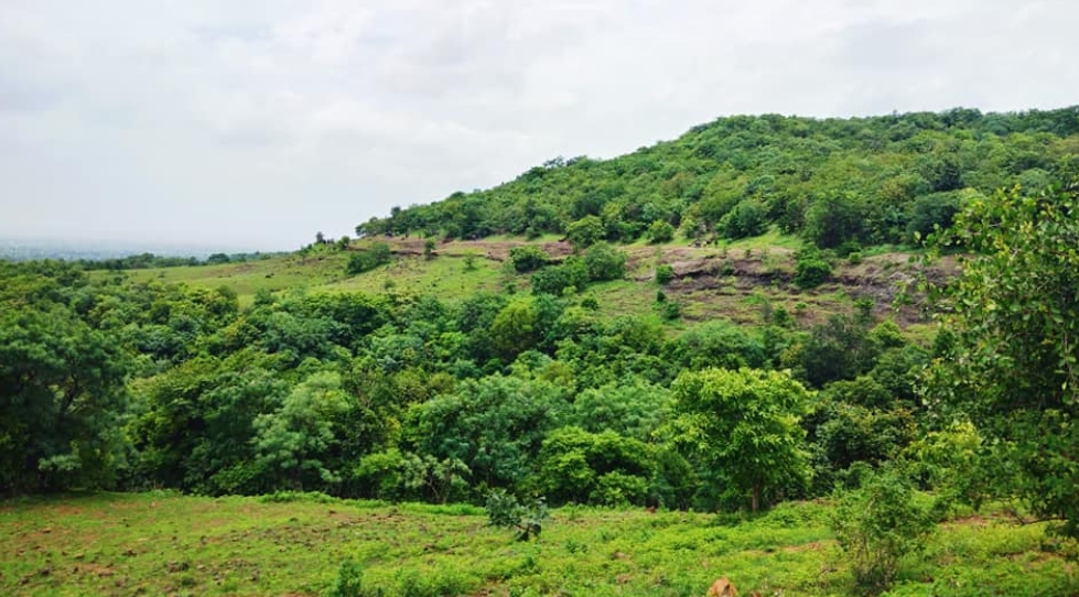 8 Places to Visit Near Hyderabad Within 100 Km