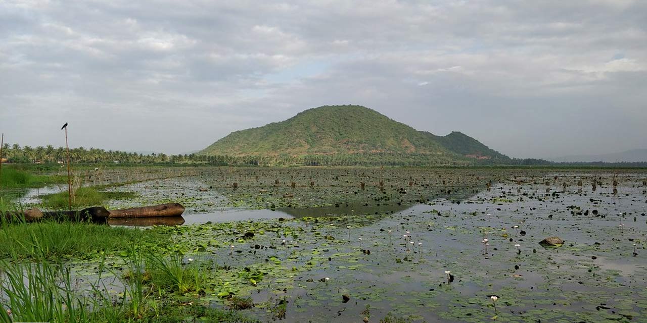 Coastal Cavalcade: 7 Scenic Bike Rides along Vizag’s Coastline