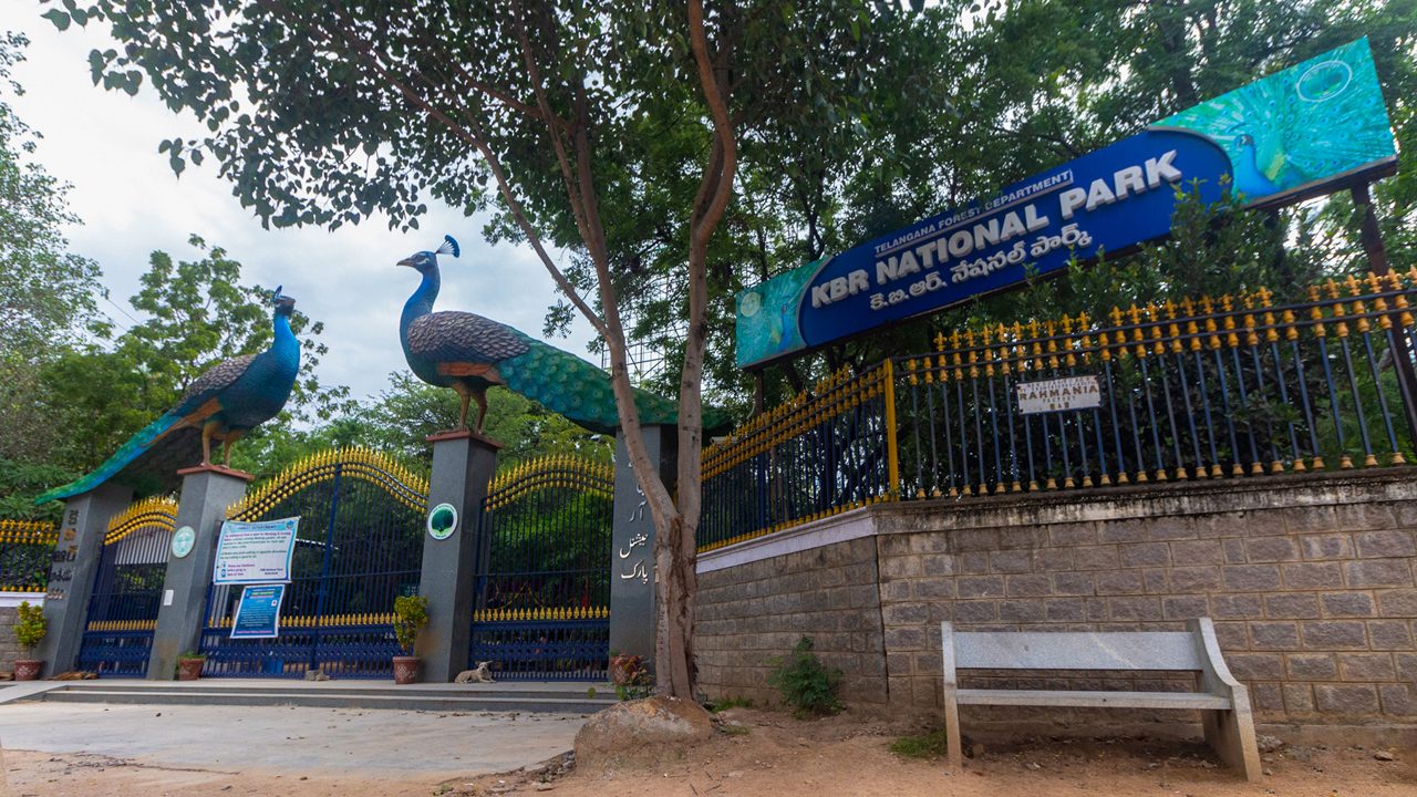 7 Best Weekend Getaways from Hyderabad (To Try this Week!)