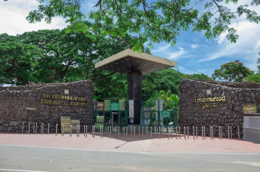 5 Famous Mysore Points of Interest - Be a Local in Namma Mysuru