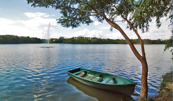 Beyond the Horizon: 15 Captivating Tourist Places on Bangalore to Mysore Route