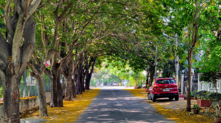 5 Best Routes for Bike Rides in Bangalore