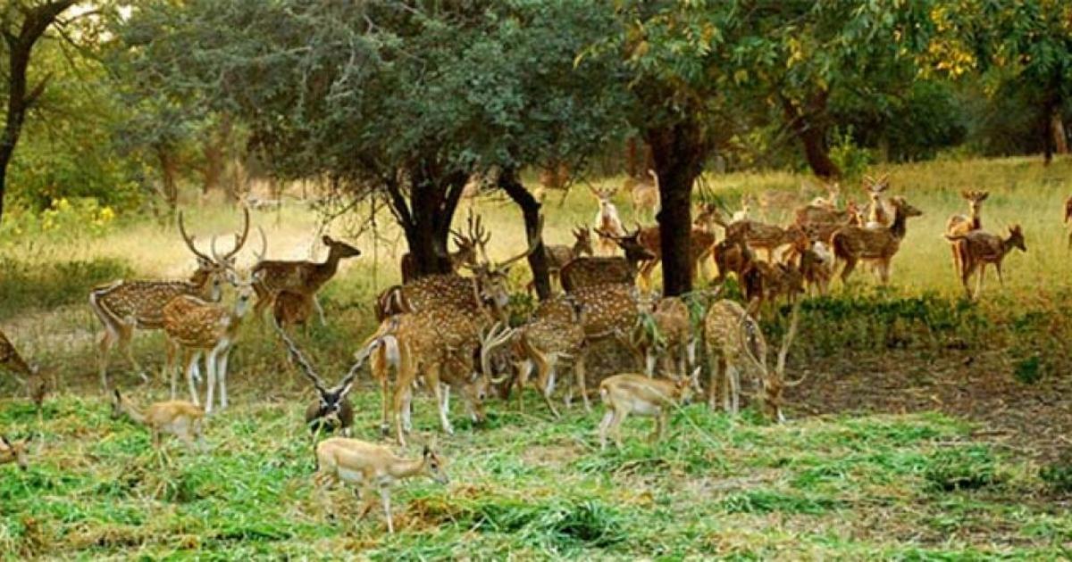 8 Places to Visit Near Hyderabad Within 100 Km